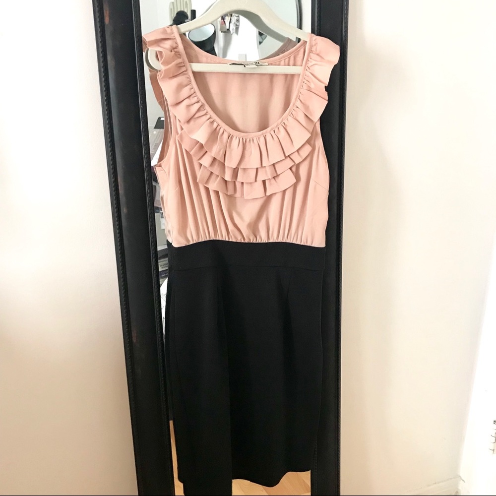 Blush & Black Dressy/Work Professional Bodycon